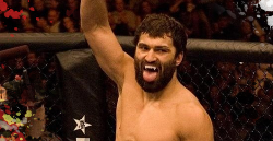 Andrei Arlovski